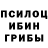Псилоцибиновые грибы GOLDEN TEACHER Miron Andreev