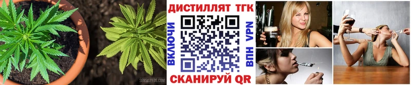 ТГК THC oil  Купить где  Курильск 