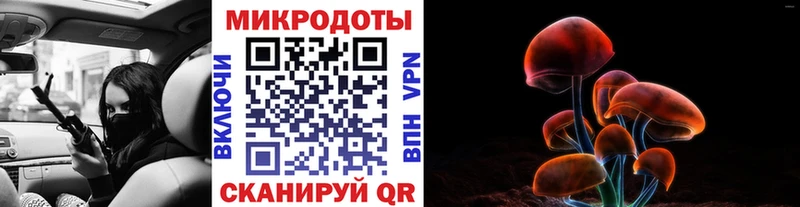 Купить закладки  Курильск  Псилоцибиновые грибы мицелий 